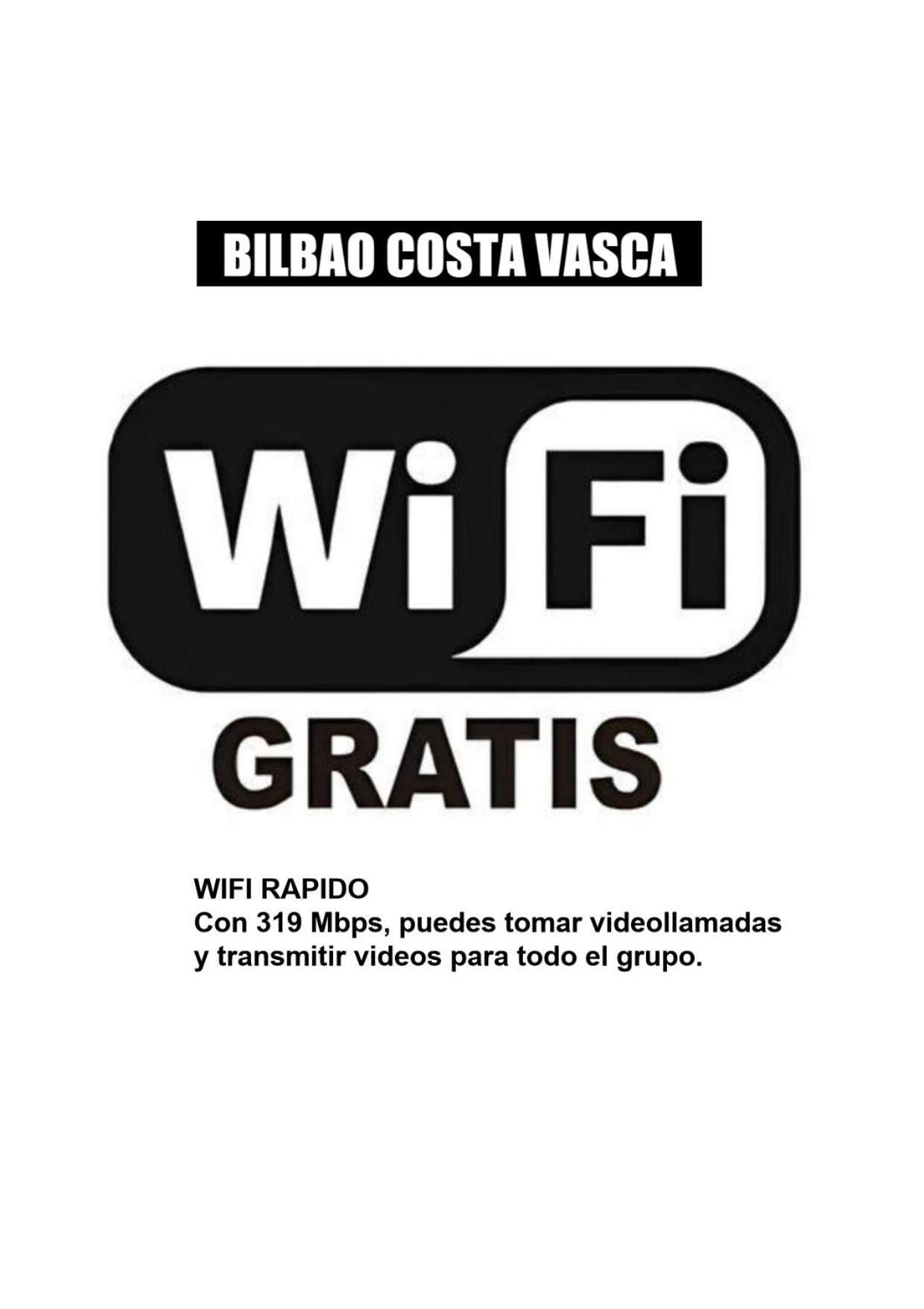 Ssilssao Costa Vasca Apartment Leioa